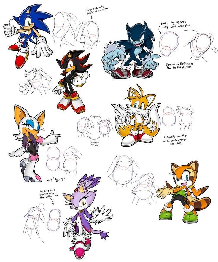 Brawlios1AmyFan's tweet photo. HOLY FUCK SONIC ANATOMY!!  It’s so simple yet so helpful omg🥹 https://t.co/SZUoQrI2ln