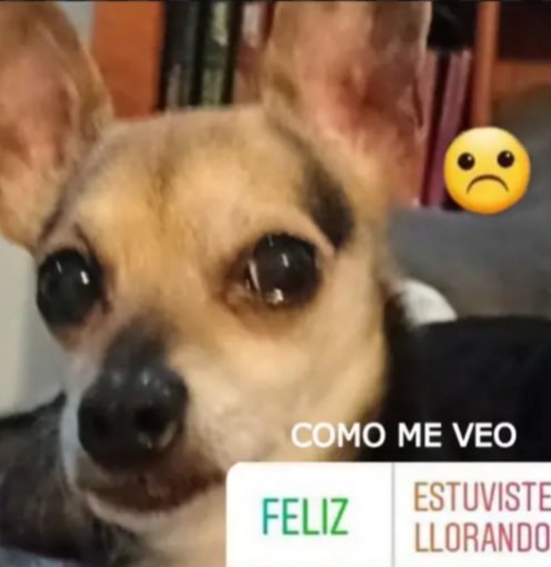 yhnlvskiri's tweet photo. Me siento tan ridículo cuando doy muestras de afecto o vulnerabilidad y me dejan en visto https://t.co/WT07U6T2u8