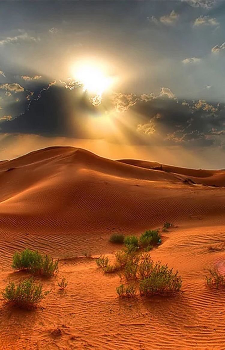 Algerian_desert's tweet photo. https://t.co/AUk741eC78