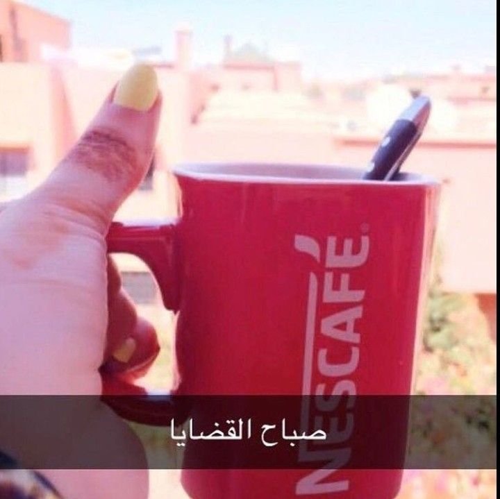 sundaymuse4's tweet photo. ضافتني محاميه الى يبي يجادلني يجي https://t.co/gEy5UlKnzB