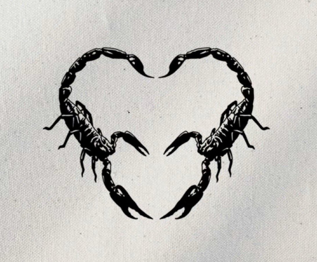 iamsouljabrasi's tweet photo. When yall both Scorpios https://t.co/wdUEDdTXOj