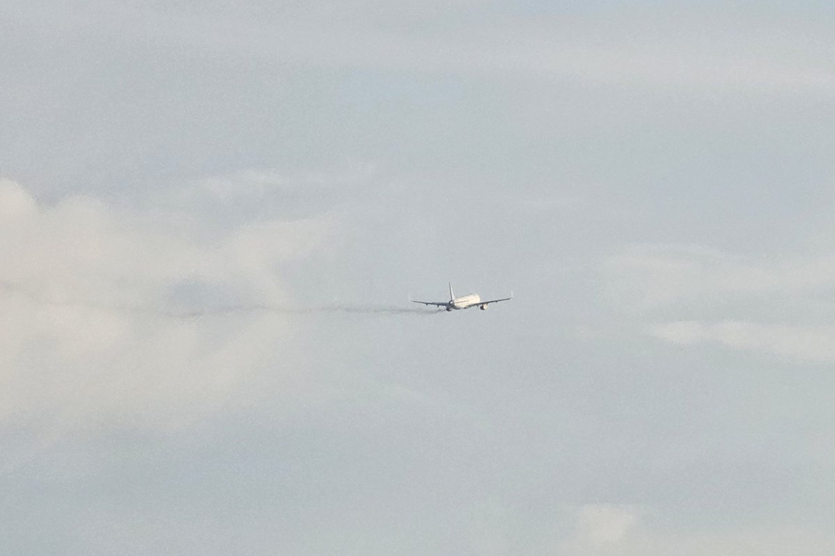 FlightradarCAT's tweet photo. Aterratge d'emergència a l'aeroport de Barcelona-El Prat d'un Vueling que cobria la ruta entre Barcelona i Milà. Molt probablement ha sigut un impacte d'au contra el motor, jo mateix he vist com començava a treure fum des de la oficina quan s'enlairava. Ara ja aterrats i segurs. https://t.co/jtY7UiSnCJ