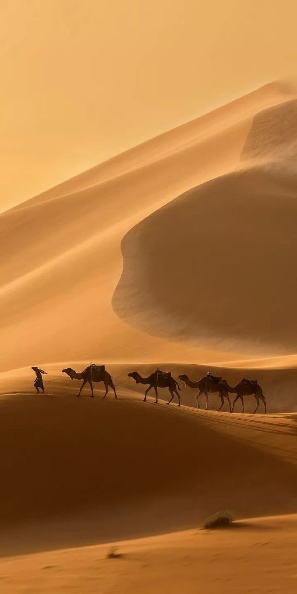 Algerian_desert's tweet photo. https://t.co/KpyWTWaiwS