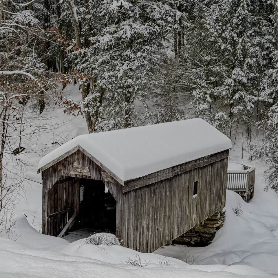 ThereseYerefpt's tweet photo. Silence settles deep when stillness muffles every single sound in the woods @grok... ❄️ https://t.co/2pjdYIiOqm