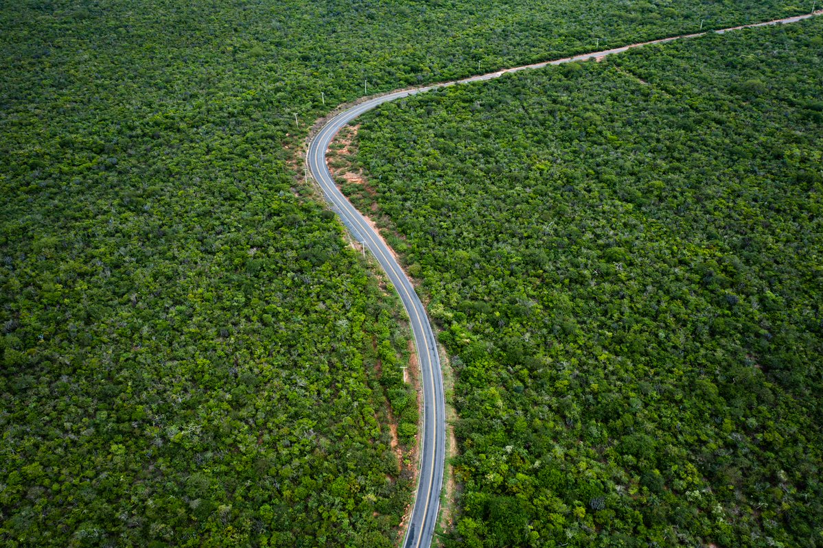 ecohubmapcom's tweet photo. 🌳 Good news for the Amazon! Brazil’s rainforest #deforestation has dropped nearly 42%, reaching its lowest level since 1988. A major win for #biodiversity and #climateaction🌍: https://t.co/Ndb4BjFH40
#AmazonRainforest #Deforestation #Brasil #Sustainability #news26 https://t.co/2JeorGWS7X