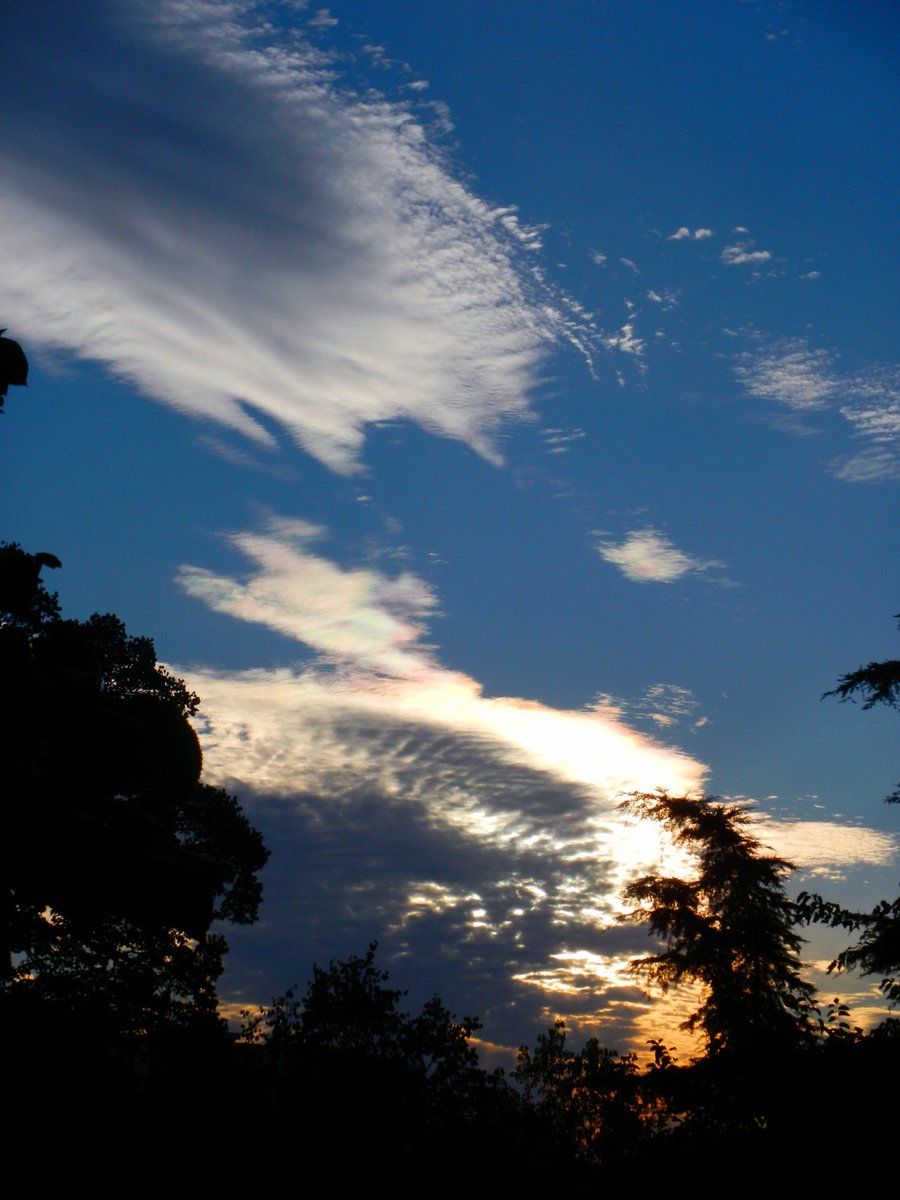 healing_lota's tweet photo. the sky is always beautiful https://t.co/bvJv0tDqVm