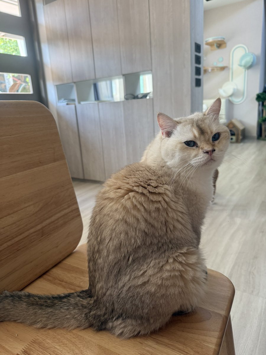 Bonusiie's tweet photo. นายๆ ขนนายแตกมากอะ https://t.co/kvQFZmzY8s