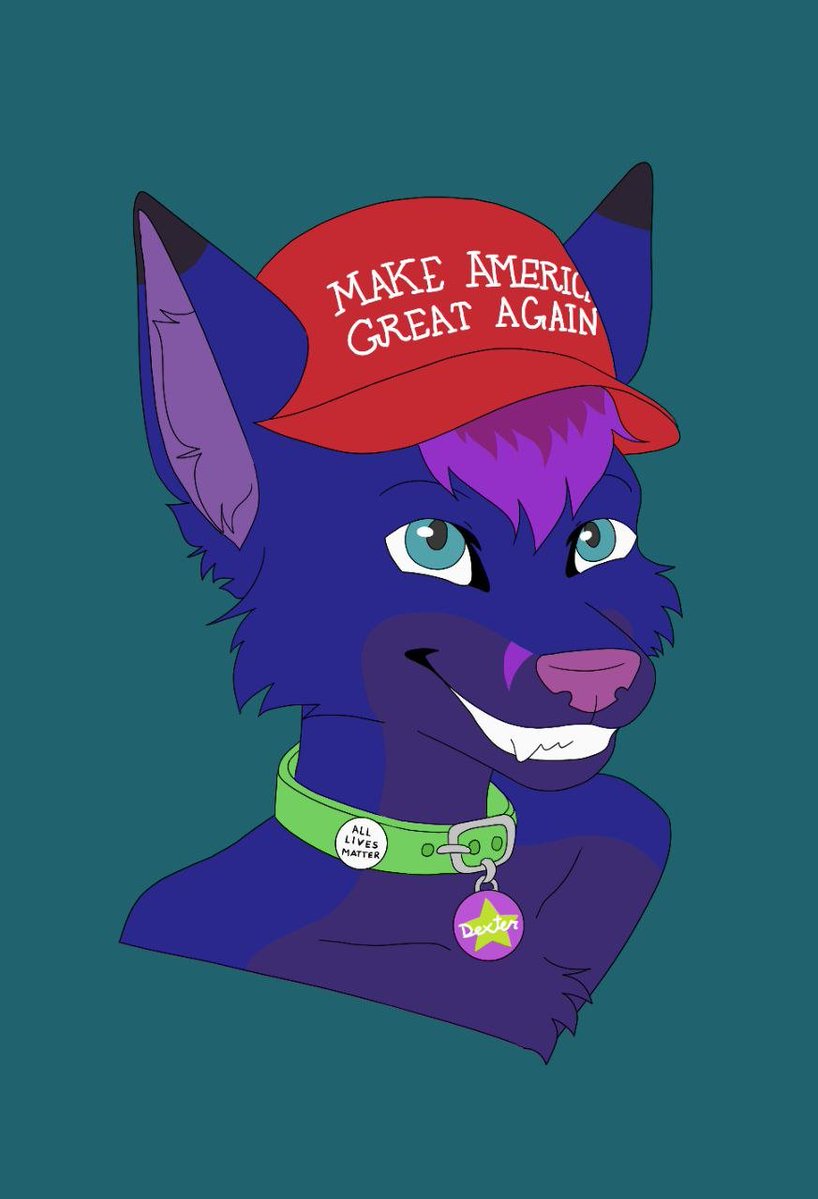 DexterMidFox's tweet photo. How to trigger leftist furries https://t.co/Ki1TLZb2bA