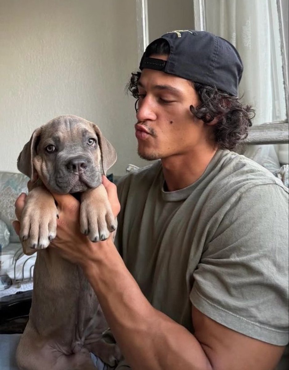 zarapliers's tweet photo. you know casting is so perfect because even when emilio’s trying to be a cutie all I see is xaden riorson 😭😭😭 https://t.co/DaSAZgSLRC