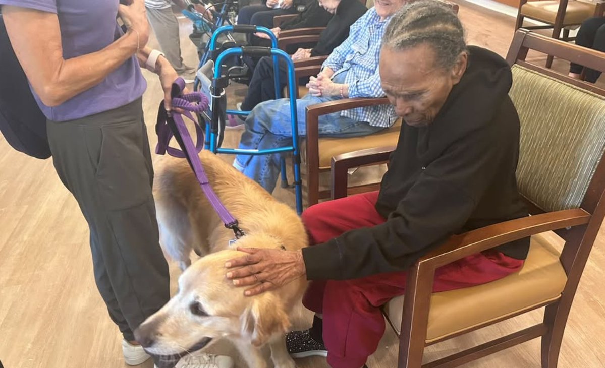 AnthemMemCare's tweet photo. When Murphy walks through the doors at Morningside Place Memory Care in Overland, Kansas, the smiles and laughter begin! Murphy is everybody's favorite form of therapy!
https://t.co/y0sFFblrBU
#OverlandKansas #PetTherapy #DementiaCare #SeniorLiving #AnimalTherapy #SeniorCare https://t.co/6VCeW4z3eG