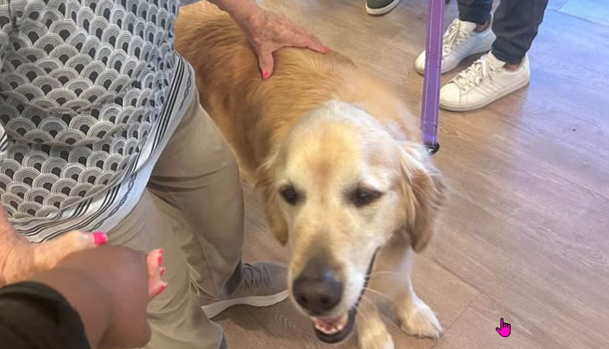AnthemMemCare's tweet photo. When Murphy walks through the doors at Morningside Place Memory Care in Overland, Kansas, the smiles and laughter begin! Murphy is everybody's favorite form of therapy!
https://t.co/y0sFFblrBU
#OverlandKansas #PetTherapy #DementiaCare #SeniorLiving #AnimalTherapy #SeniorCare https://t.co/6VCeW4z3eG