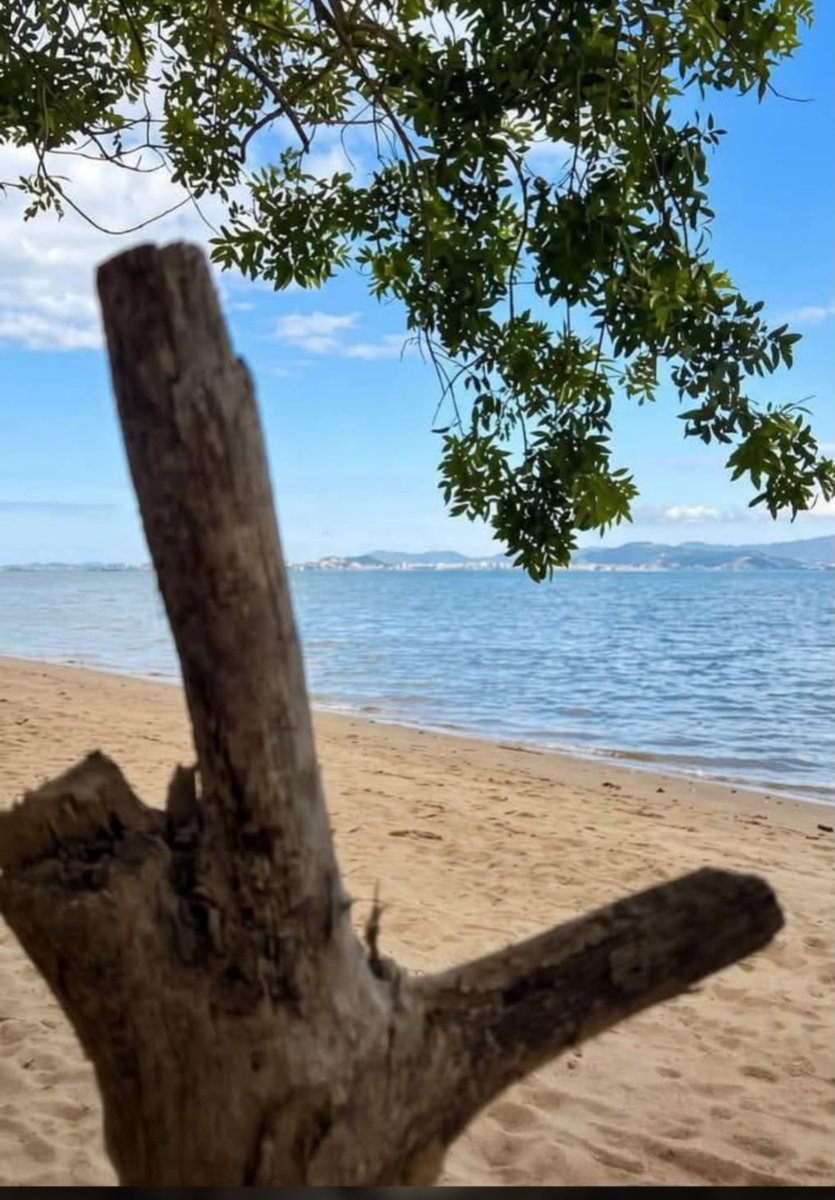 Rafayse's tweet photo. Se até a natureza está dando sinais, quem sou eu para discordar. 😂😂😂 https://t.co/o4FVI5m1U1