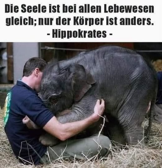 bluetenleser's tweet photo. Danke an Tatjana Geßler: https://t.co/r0nD8rvf3C