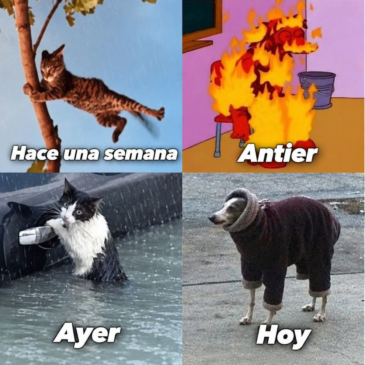 NancySanz18's tweet photo. Monterrey 🫣 https://t.co/cCLawmkt4Z