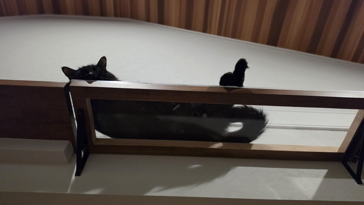 Cococococat7's tweet photo. たーーのしかったぁーーー！一旦寝ます！ありがとうございました！おやすみなさい！ https://t.co/KlcKM5r1zE