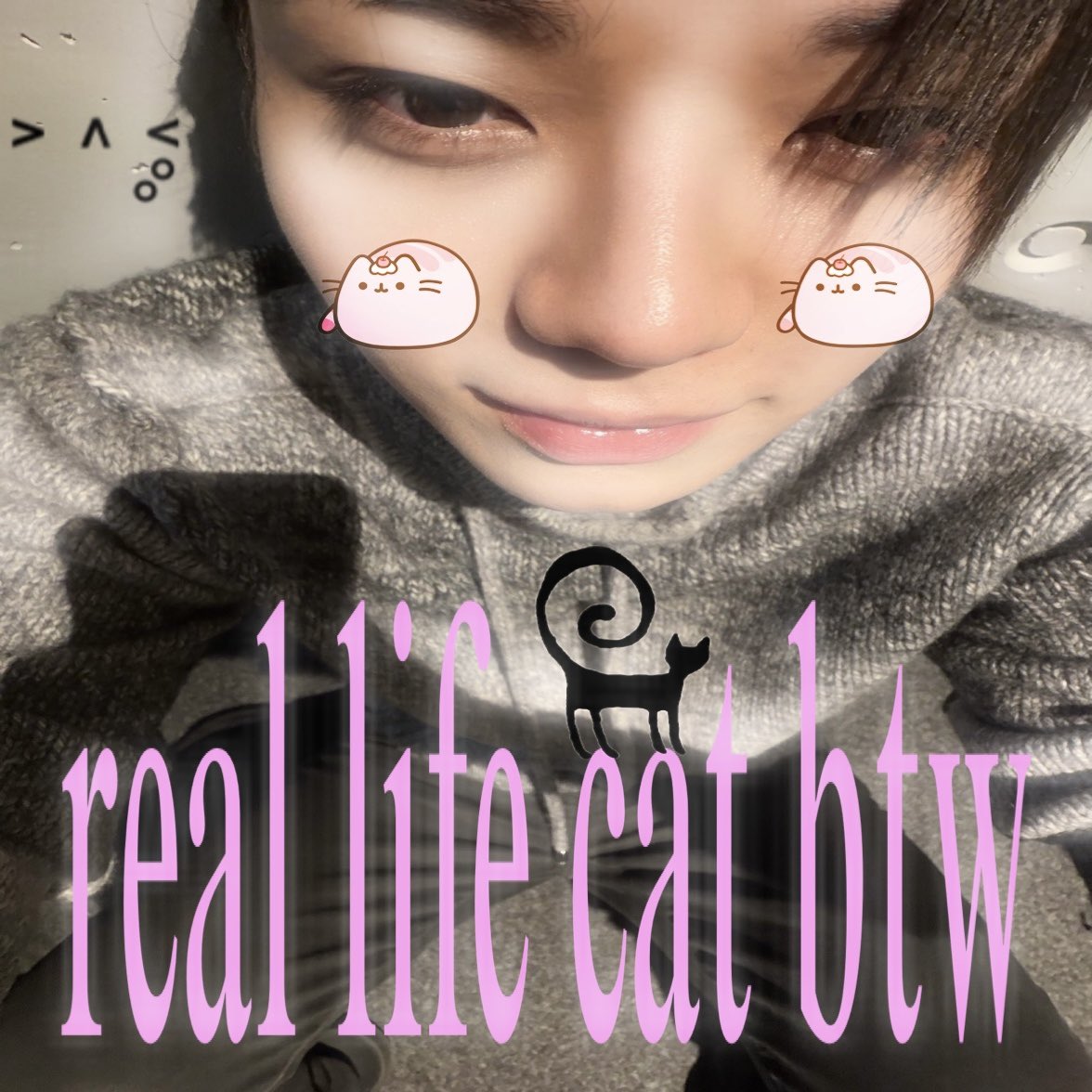 i8kryu's tweet photo. https://t.co/YW7OT33QN7