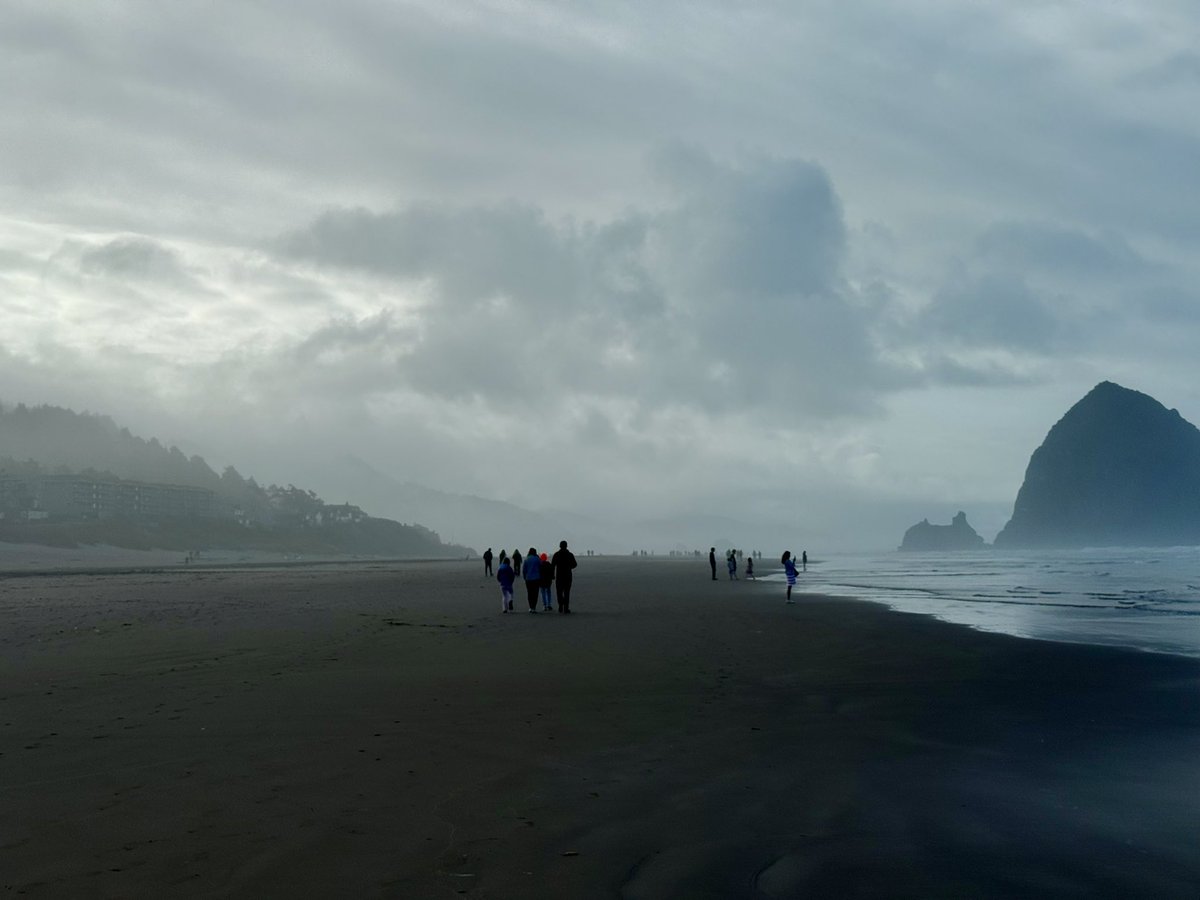 CoreyWDW's tweet photo. The sunny days were nice but today we’ve got the moody Oregon coast I was excited to see in October https://t.co/o5LONUmudQ