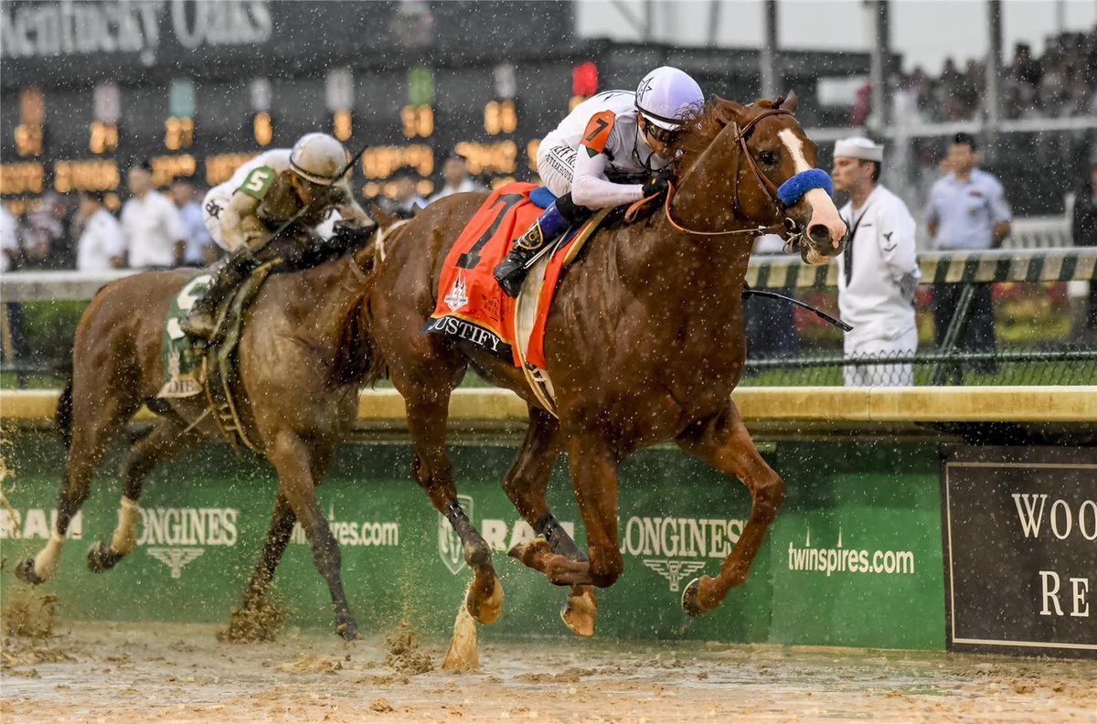 Saudi_Racing's tweet photo. 📌ايرلندا 🇮🇪

الأيرلندية ذات الاربع أعوام البطلة Minnie Hauk ابنة الأسطورة Frankel ستزور الفحل JUSTIFY في الولايات المتحدة الأمريكية بموسم الشبا بالعام المقبل.

الجدير بالذكر ان بطلة فريق كولمور بالساحة الأوروبية حققت العديد من الإنجازات خلال مسيرتها السباقية من أهلمها:
🥇2025 Epsom Oaks (G1)
🥇2025 Irish Oaks (G1)
🥇2025 Yorkshire Oaks (G1)
🥇2026 Mooresbridge Stakes (G2)
🥇2026 British Champions Fillies & Mares Stakes (G1)
🥈2025 Prix De l'Arc de Triomphe (G1)
🥈2026 Prince of Wales's Stakes (G1)

@coolmorestud
@aobrienfansite
#سعودي_ريسنج