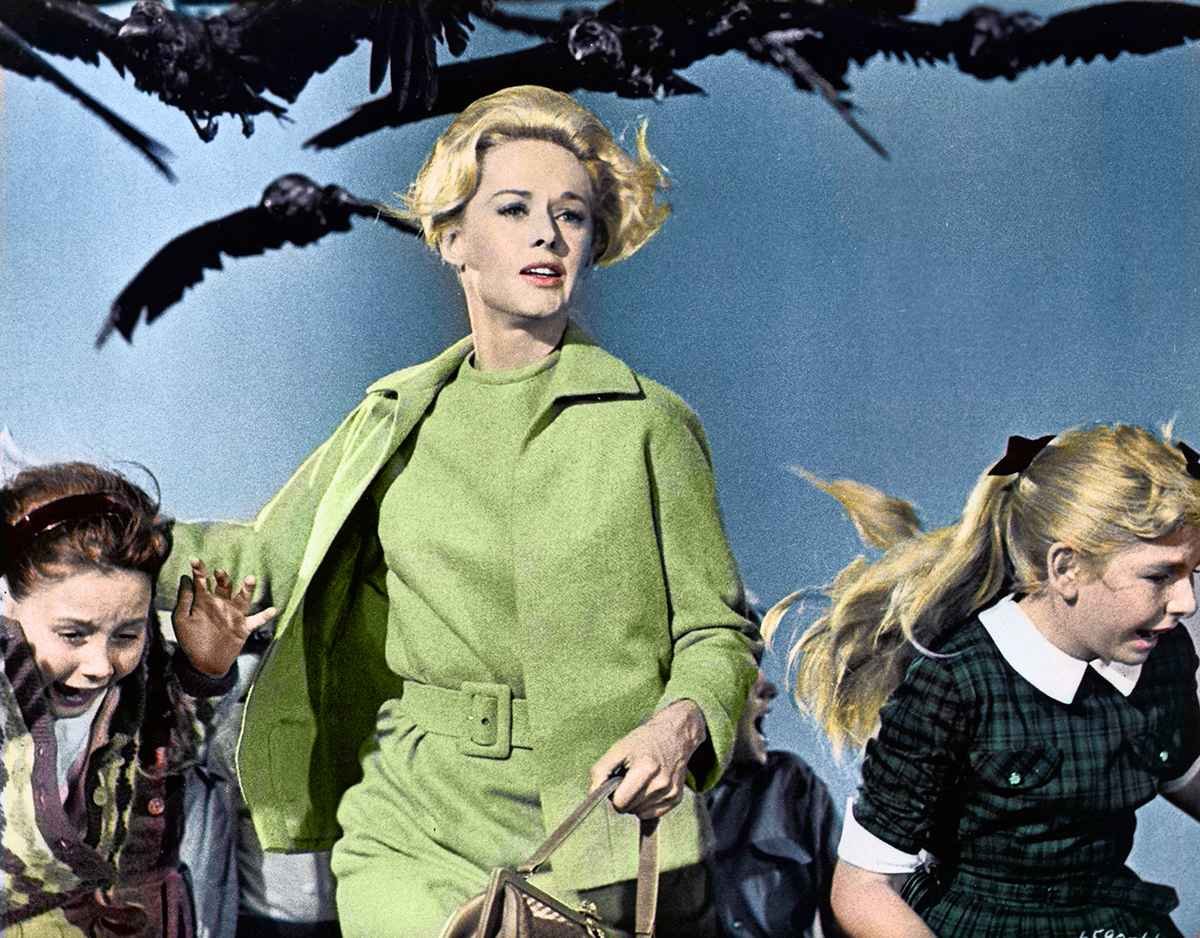 thecoers's tweet photo. #MARTIN at the Nol Festival earlier wore Junya Watanabe’s SS17 “Ptaki” long-sleeve shirt, featuring a graphic inspired by Bronisław Zelek’s 1965 Polish movie poster for Alfred Hitchcock’s Horror Film 'The Birds (Ptaki)'. 

#CORTIS #코르티스 https://t.co/FT88qSAhmG