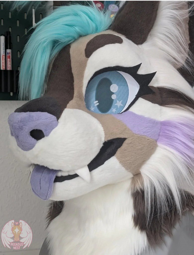 pegasusneszipf's tweet photo. Look at this gorgeous Maine Coon kitty! 
Another custom commission finished! This beauty was made with lots of love and attention to detail. 
She comes with 2 magnetic tongues, velcro eyelashes, and velcro eyelids for extra expressions! 
Stay tuned for the full suiting pictures and videos they're going to be FIRE
Thank you for supporting my work! Can't wait to show you more of this beauty

#furryfandom #furry #fursuit #fursuiting #furries #fursona #fursuitmaker #customfursuit #fursuitcommission #furrycommunity