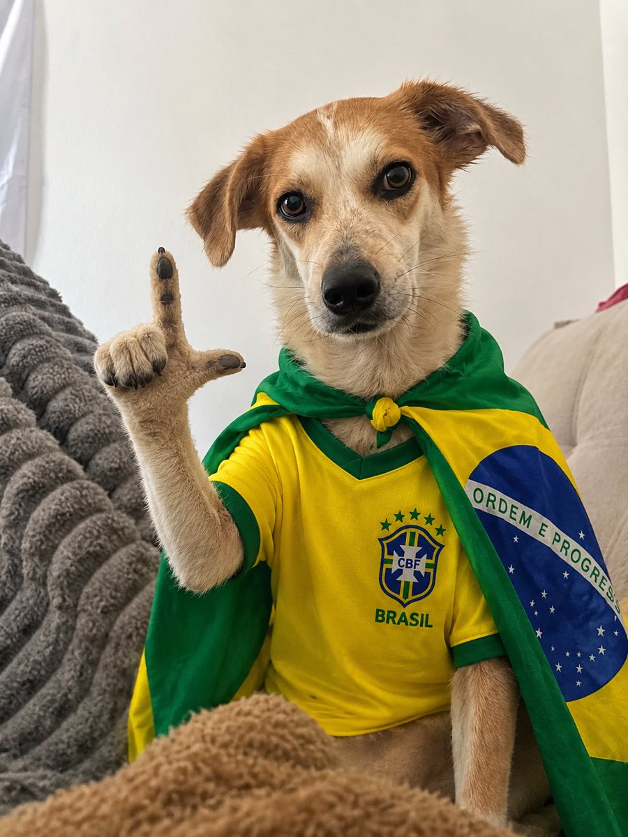 labsalerno's tweet photo. tive que gerar a camisa pela IA galera, perdão. Dito isso, eu e aninha estamos na campanha de vira voto #BrasilInteiro #VerdeEAmarelo https://t.co/K0fybbG8Ps