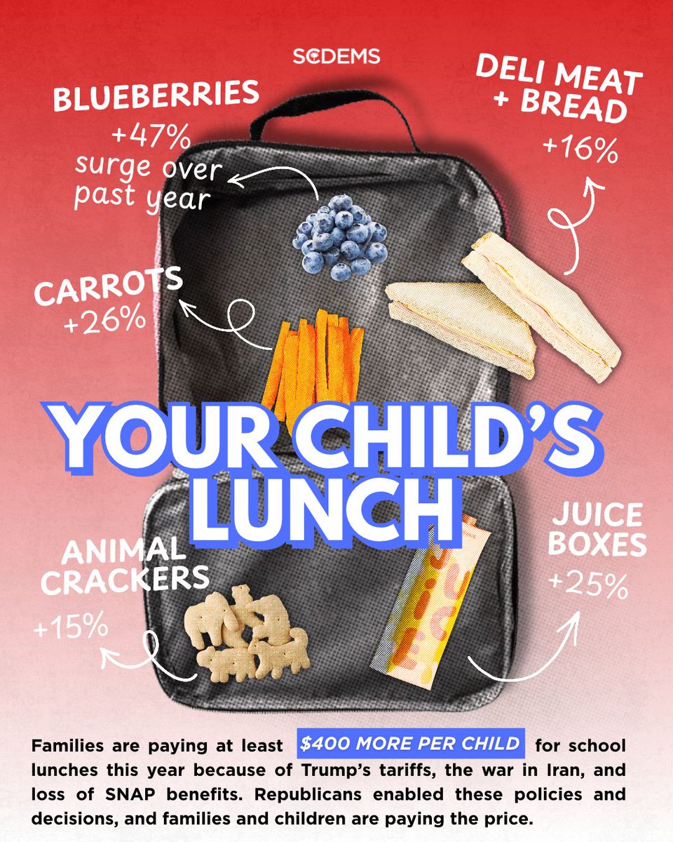 scdp's tweet photo. Families are spending more at the grocery store and coming home with less.

For South Carolina households, rising grocery costs mean stretching every dollar just to put food on the table. Families deserve affordable groceries, not another bill that keeps getting bigger. 🛒 https://t.co/J26nm13ySz