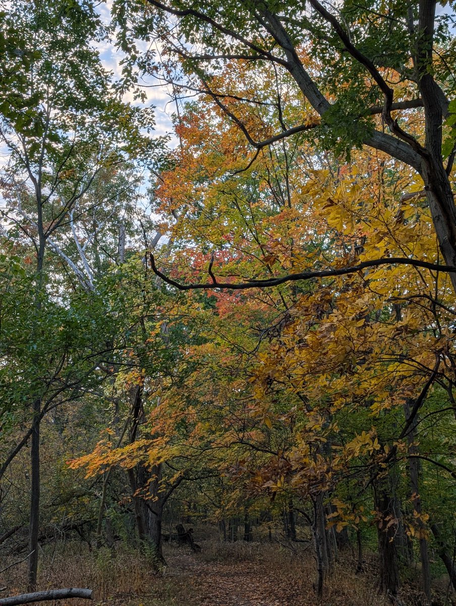 schultzmt8's tweet photo. A few photos from the Autumn hike.  Lots of color in NY State, but not at their peak yet. https://t.co/8B5Z3gigba
