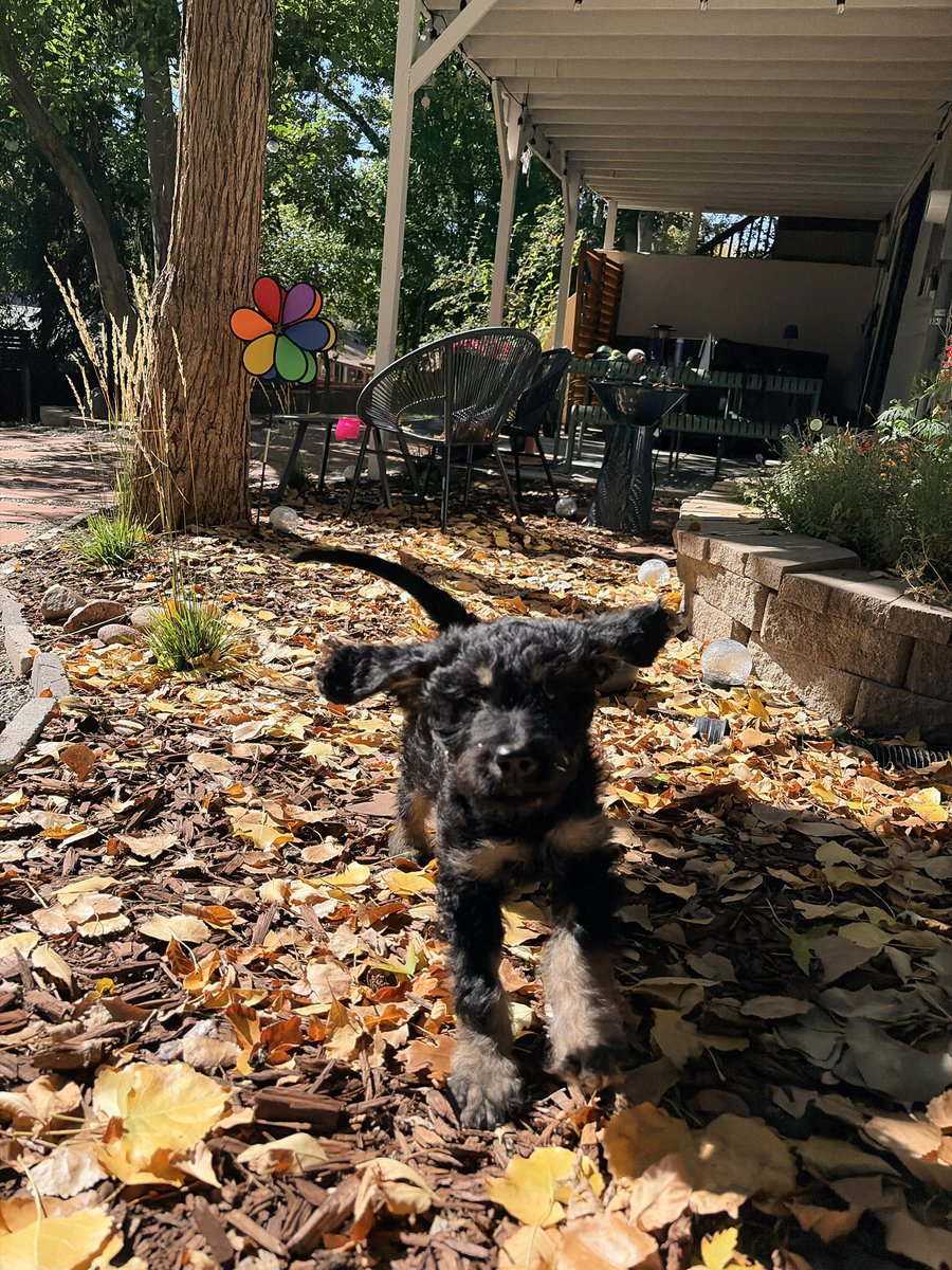 calisheepdood's tweet photo. Welcome to the fam, Coors! 🍺 https://t.co/d0SUa385nv
