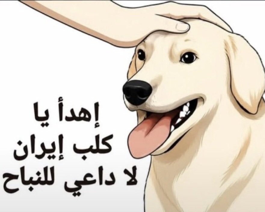 t3a_7's tweet photo. @Fara__h__Ali مات
مع
عبدالملك https://t.co/I26ivQxQFQ