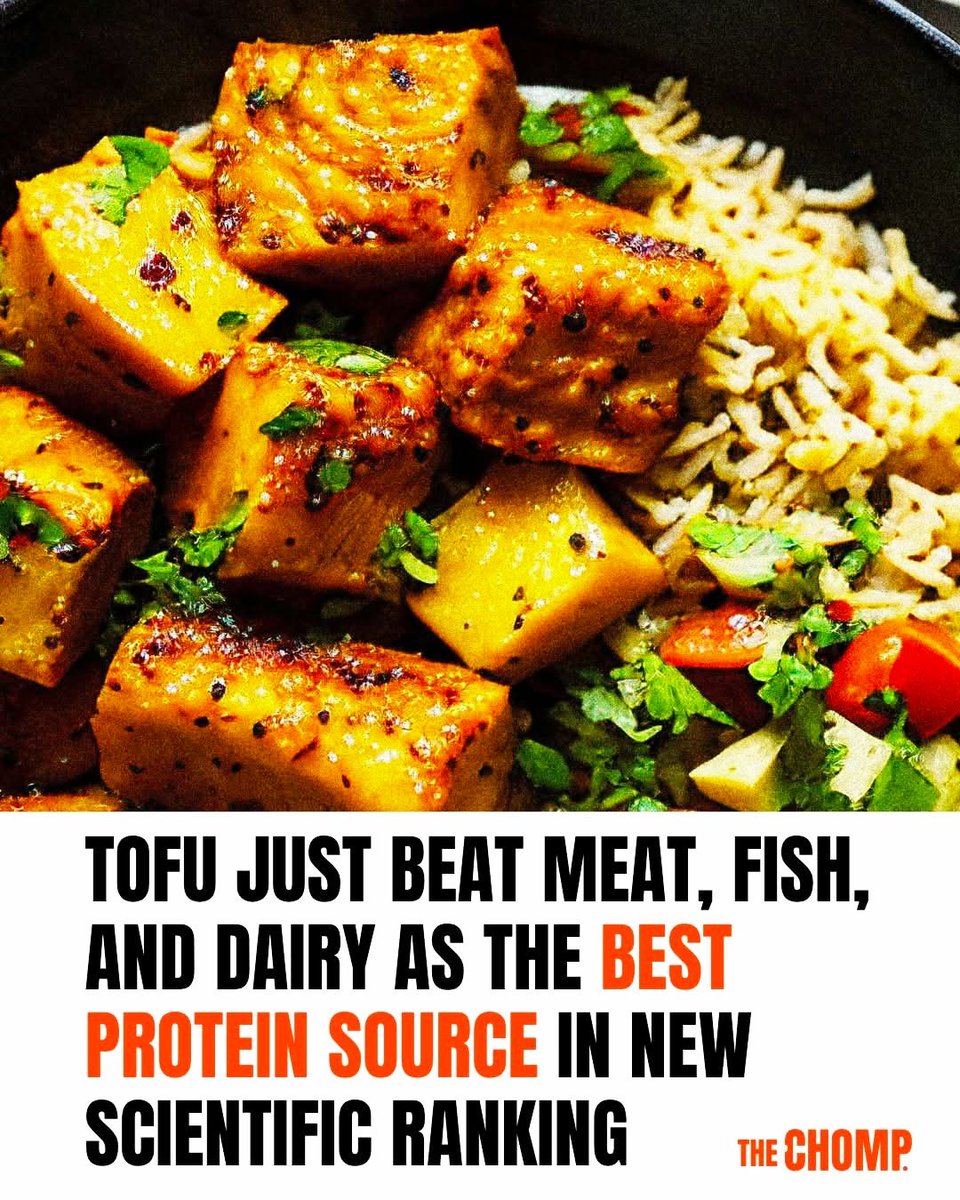 gianni_runco's tweet photo. Il tofu è la migliore fonte proteica in assoluto. Inoltre non uccidere animali e non provoca pandemie. #tofu #govegan #nomilk #animalrights #veganfood #veganism #crueltyfree #Vegan #nomeat #plantbased #animallovers #vegano #veganrevolution #veganworld #empatia #vegetables https://t.co/DdiVfZTy1i
