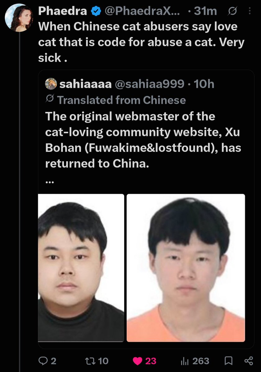 PhaedraXTeddy's tweet photo. FYI @cloudflare profits off this type of website that makes this kind of video and pretends they HAVE to provide a platform for it. Chinese make the videos around the world and @Cloudflare facilitates the videos spread to world for sales. https://t.co/ipwGi1i8Y8