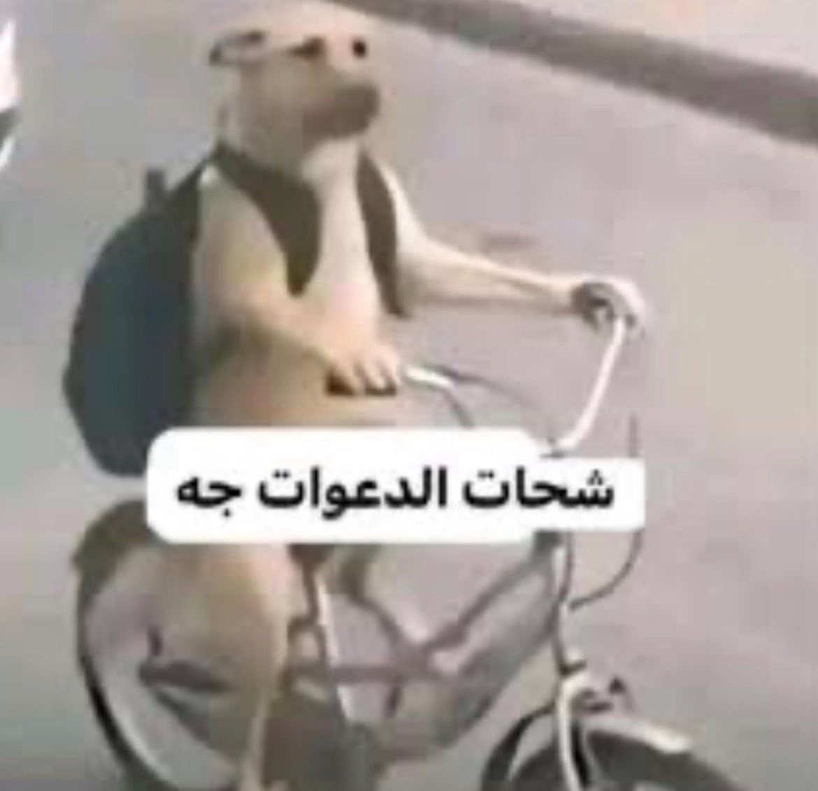 Labbyaryam's tweet photo. شهر الميد تيرم يتصل📞 https://t.co/pokxHVaw10