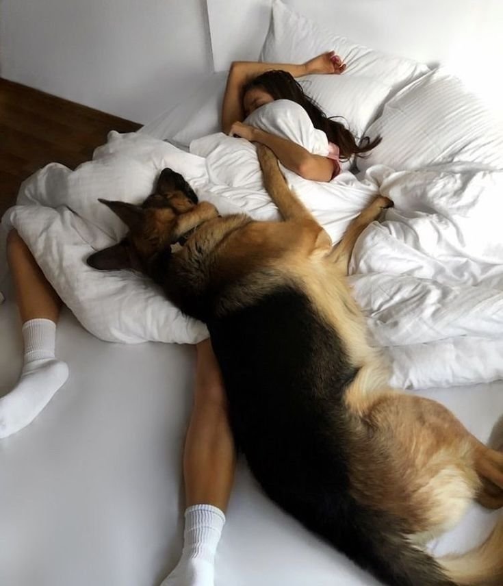 xk4ltAlexanderJ's tweet photo. Side by side, we're creating memories filled with smiles, love, and endless adventures 🐕❤️ Follow our story for more wholesome https://t.co/QJyIewpYH9

https://t.co/4TZLAvzX7C https://t.co/IhbppYTPLY