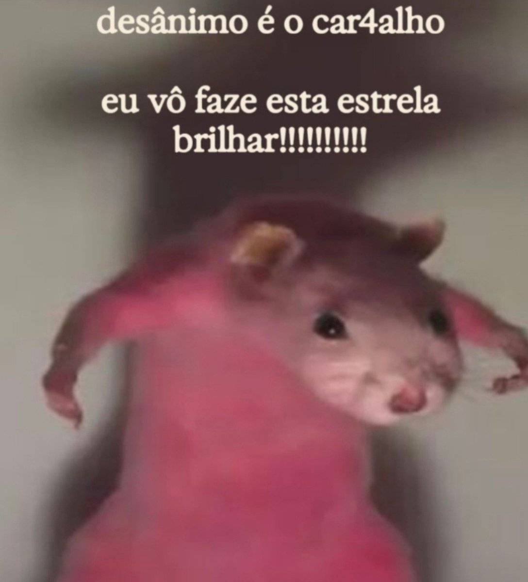 Seilaimporta's tweet photo. @_janoninho #Somos5MilhoesDeSoldadosDoLula https://t.co/JRktC2ULNm