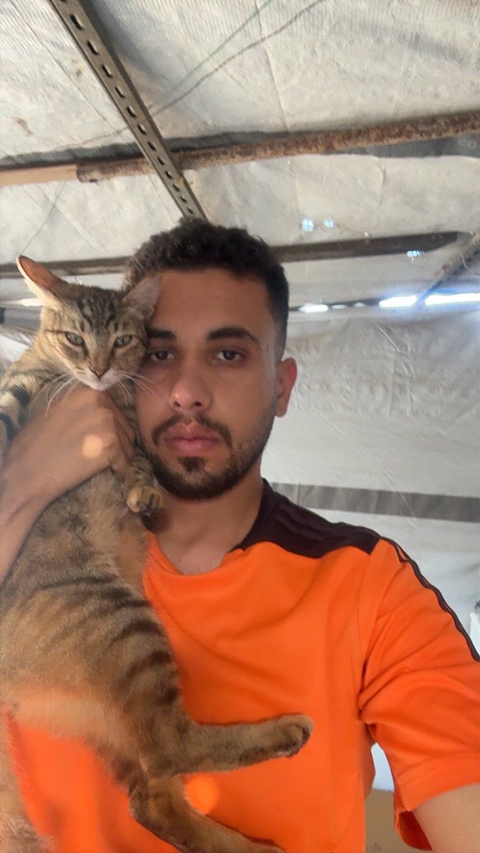Mo7mmd30's tweet photo. My cats and i are still alive here in Gaza🇵🇸 https://t.co/orhA3XlQs0