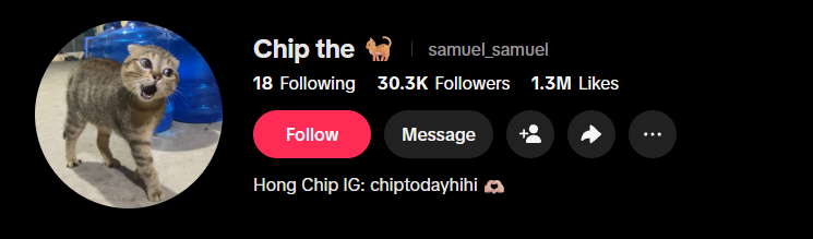 czs_fortune's tweet photo. "chipto" means "chip the"!!!

Literally the cat's name is only "chip"

check the tiktok
https://t.co/KLSEAUUhb3 https://t.co/2ZMjH6X8oF