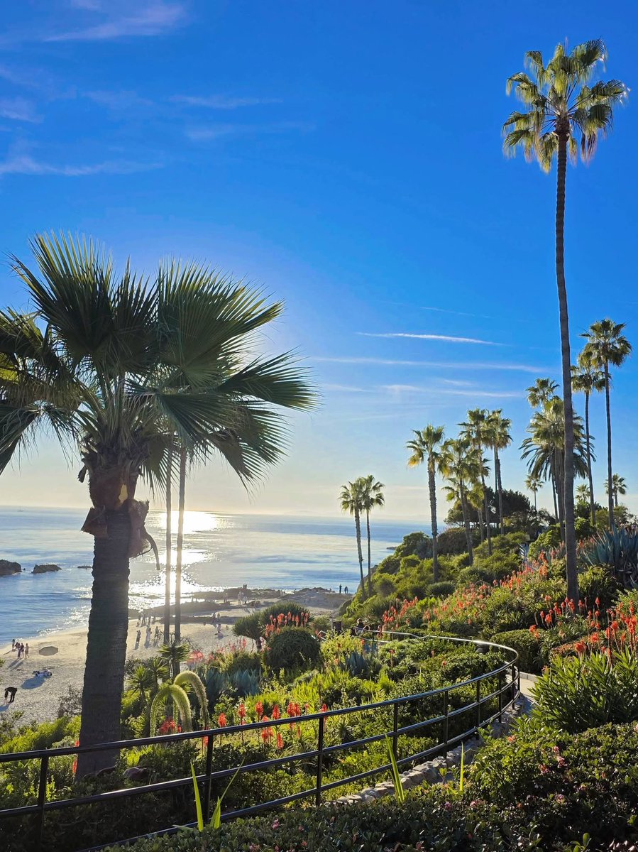 nnatvig580's tweet photo. Fun fact.
I LOVE planning trips for other people.
Family reunions...honeymoons...girls' trips...you name it.
What trip should I help you plan next?
Want a quote? Send me a message!
#BookWithJET https://t.co/Wz8AUgTG6W