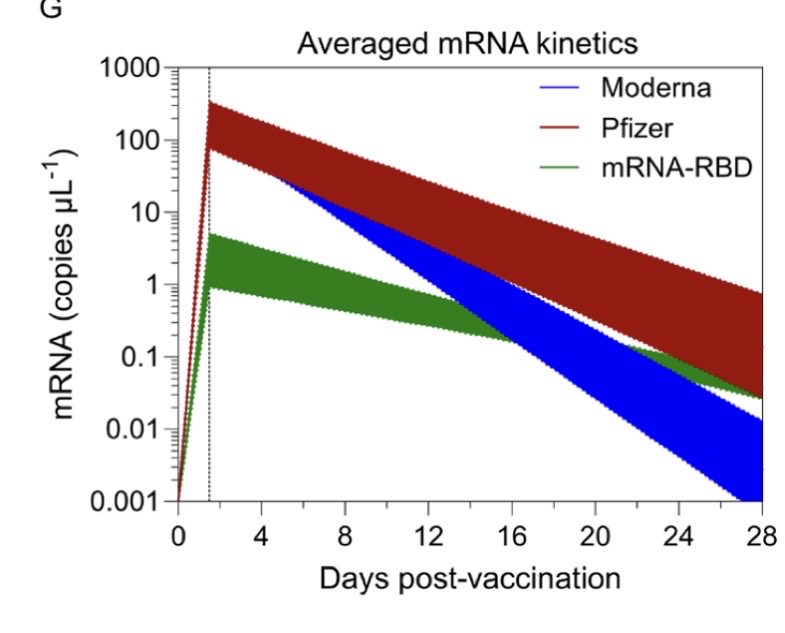 KUPERWASSERLAB's tweet photo. Six YEARS later, we learn that the LNPs are still present in the blood 28 days after vaccination and anti-PEG IgG and IgMs are produced because of them. 

Where is the @FDA on this?

https://t.co/6rICFYOzHB

@CDC @NIHDirector_Jay @RobertKennedyJr https://t.co/aP2KRZFLl6