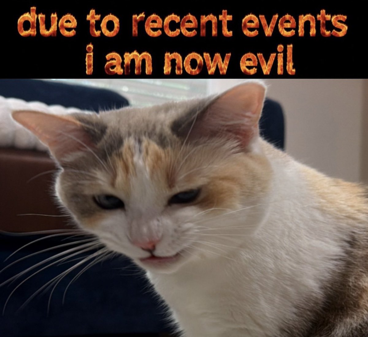 fatfatpankocat's tweet photo. https://t.co/y10LAVIfot