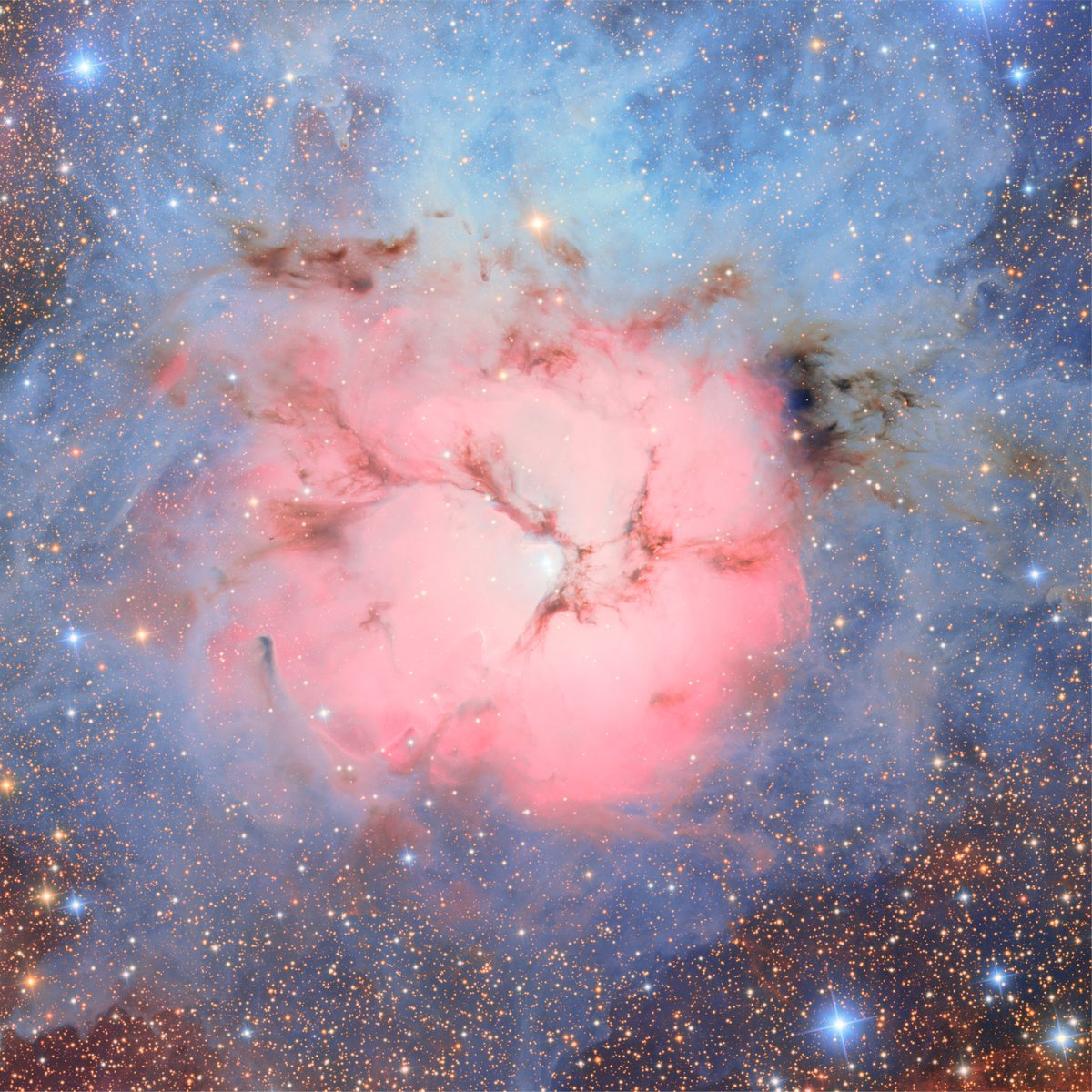 WorldAndScience tweet picture