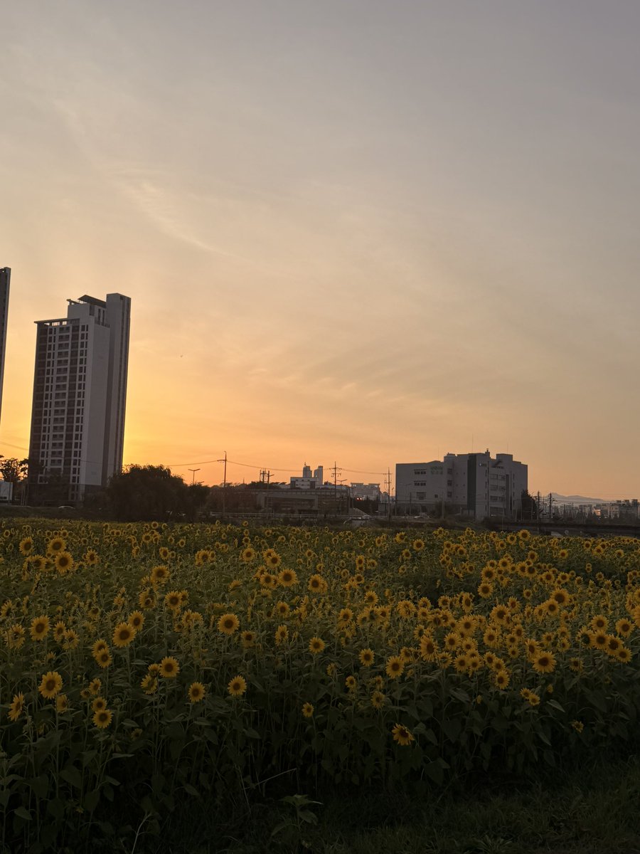 ehgud1_'s tweet photo. 오랜만에 놀앗다 https://t.co/pXWnxsSa2N