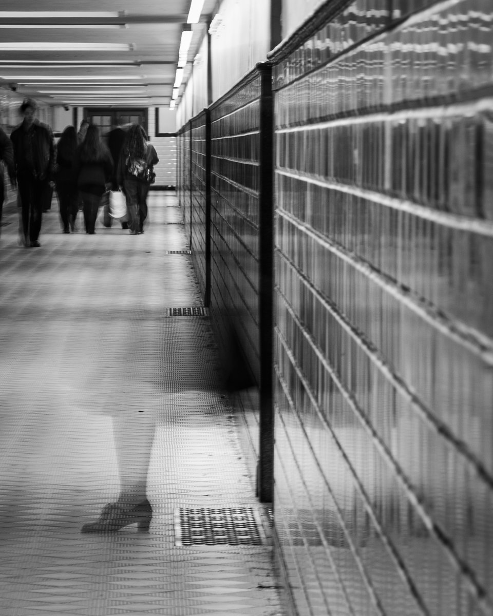 MKleberman's tweet photo. Between movement and stillness. https://t.co/wBqx7eTTi8