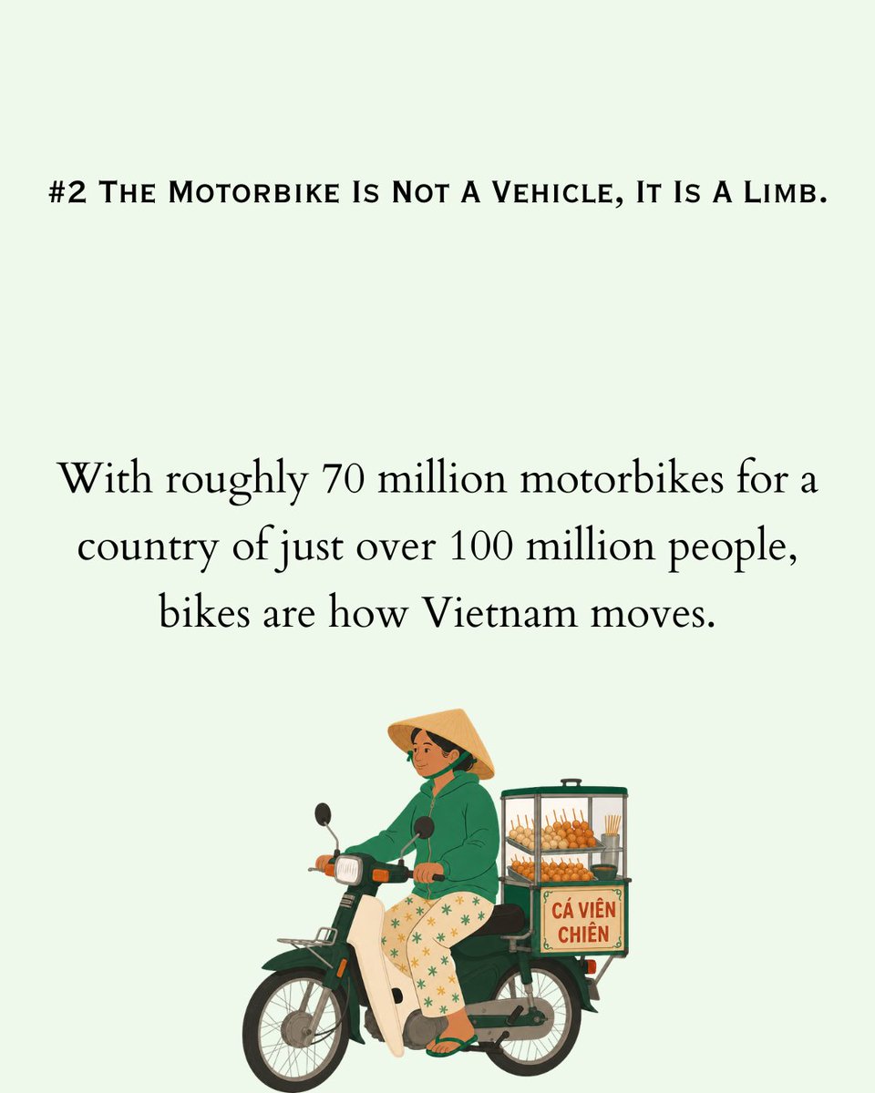 Mammapicks80212's tweet photo. https://t.co/YEGBZAYOoY - 200 Facts to Know for Travellers Visiting Vietnam is an essential guide goes beyond tourist spots, helping you truly experience the culture, flavors, and rhythm of daily life. #travel #vietnam #facts #interesting #tourist #Guide #DoYouKnow #Puzzles #Kids https://t.co/nf2HqRY3Er