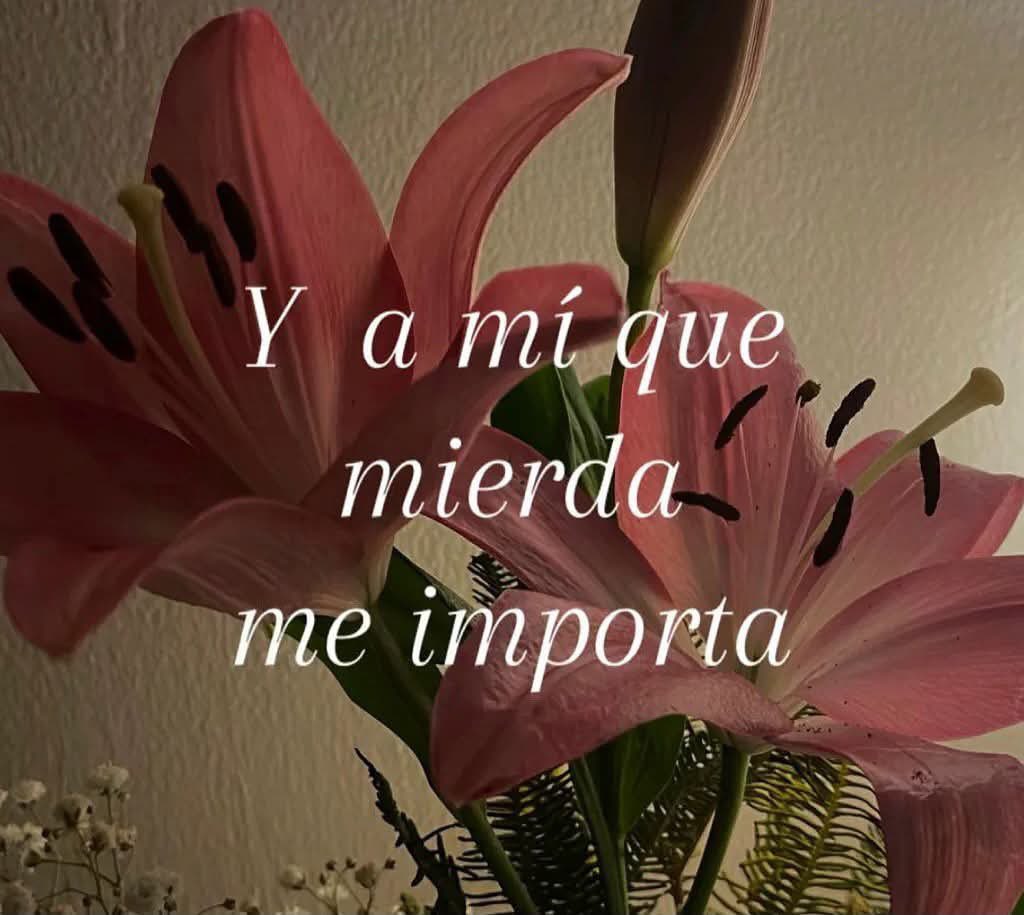 escritosrame's tweet photo. https://t.co/yMviRgVwFL