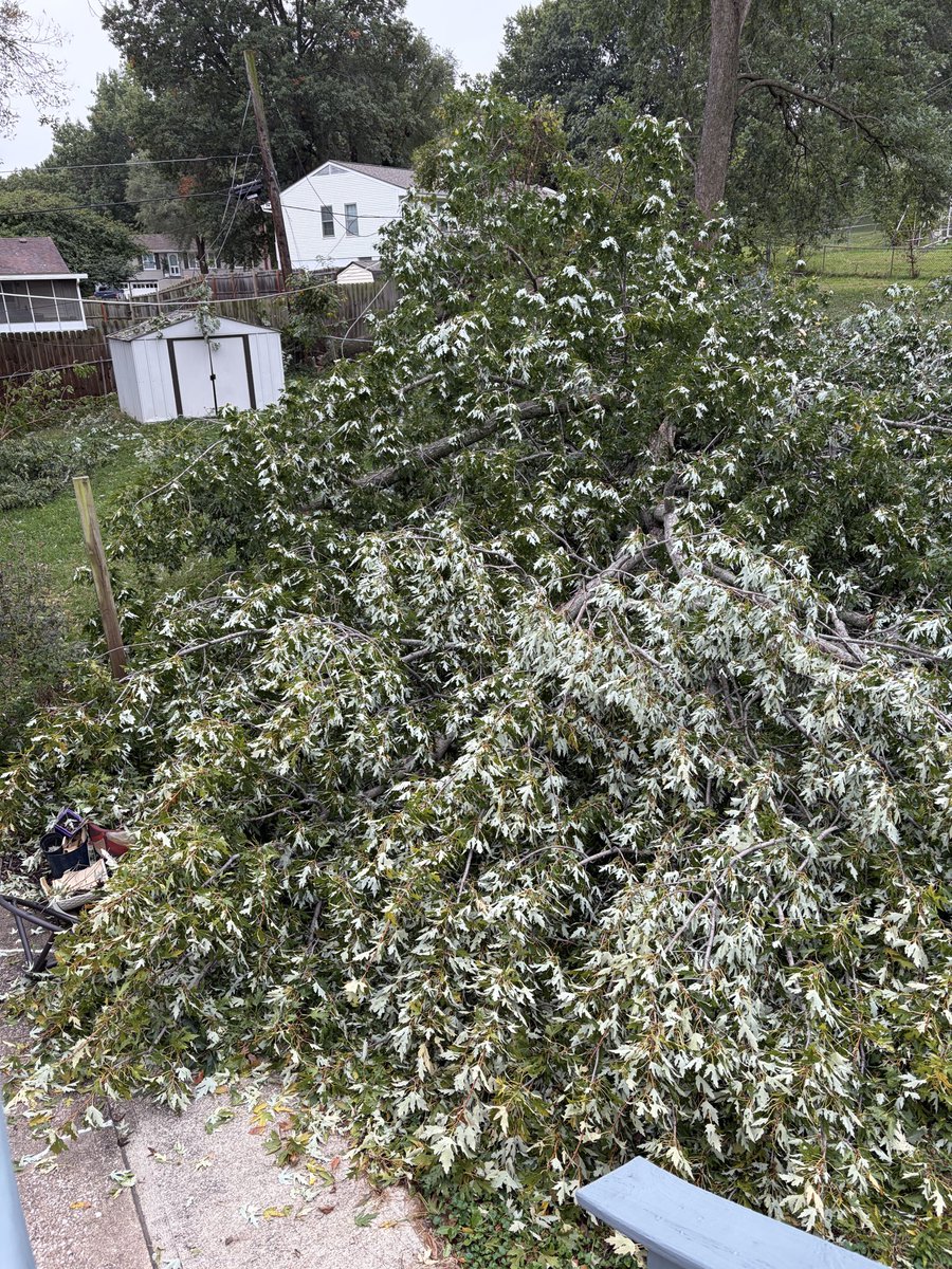 MsSinKC's tweet photo. Insurance: $6700 for deductible
Tree service: $3200 for removal
Neighbor: $1200 for removal
Me: $20 Amazon chainsaw should do the trick 

I’m on twitter begging for school supplies, I can’t afford tree removal services! https://t.co/d5lz6h9zW9