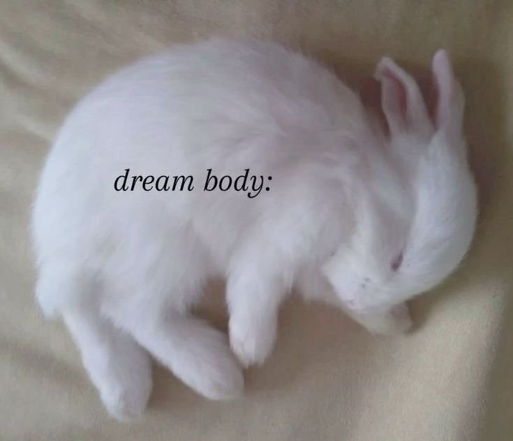 cemeteryremains's tweet photo. ݁ ˖ 🐇 ⋆ https://t.co/SEeDFN2tGv