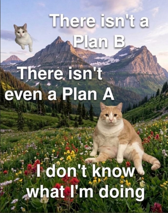 Meowversetwt's tweet photo. https://t.co/VUbqy2okCu
