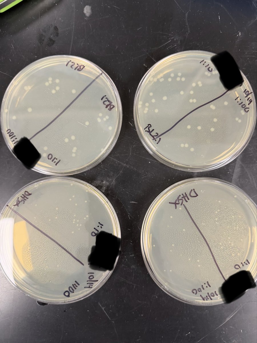 biocheMichael tweet picture