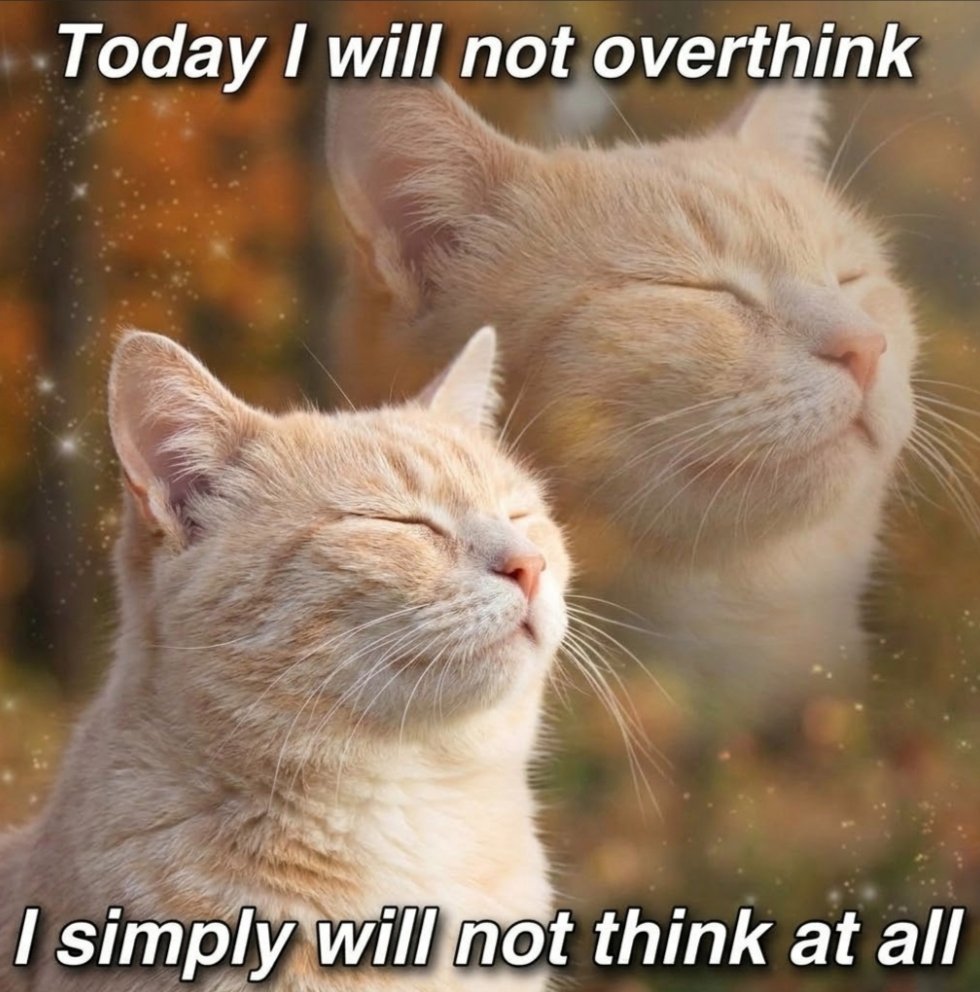 Meowversetwt's tweet photo. https://t.co/UWB7gSAX3E