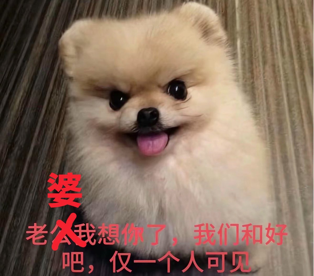 qqmi_n's tweet photo. https://t.co/PvS2dF3Dnf